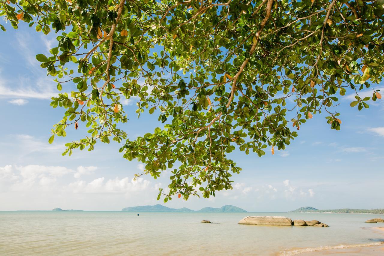 D.Samui Hostel Csaveng-part Kültér fotó